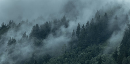Mountain landscape of evergreen trees on foggy morning in Alps in summer time