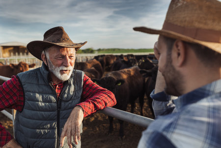 Two farmers with hats standing in front of cattle on ranch leaning on fence and talkingの写真素材