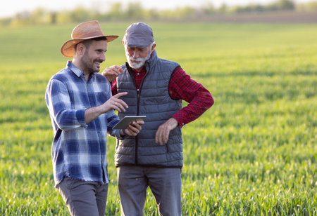 Two farmers standing in green wheat field and looking at tablet in spring timeの写真素材