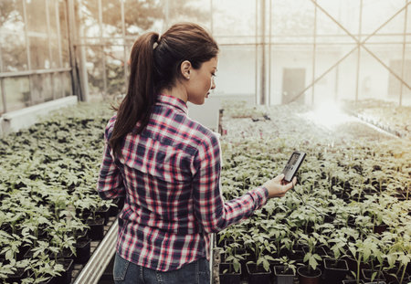 Pretty young farmer woman checking temperature in greenhouse with vegetable seedlings in flower potsの写真素材