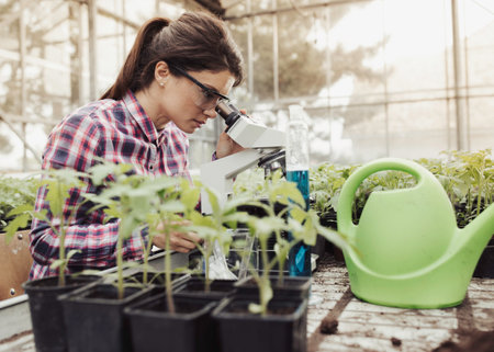 Pretty young farmer woman looking through microscope surrounded with sprouts in flower pots in greenhouse. Plant protection and productivity improvement conceptの写真素材