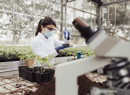 Young pretty woman agronomist applying chemicals to soil  for plant protection research in...
