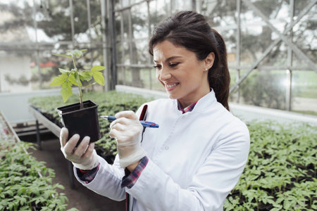Pretty young woman agronomist holding seedling in flower pot in greenhouse. and writing notes. Plant protection and productivity improvement conceptの写真素材