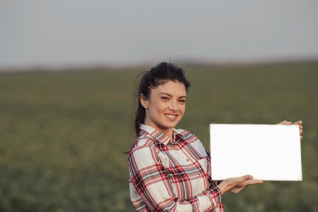 Pretty young farmer woman holding white empty board in field with green wheat in background in...