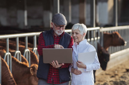 Senior farmer and female veterinarian talking on farm of Red and Black Angus cattle