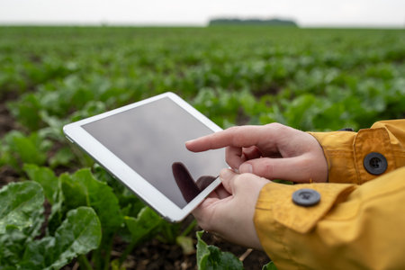 Farmer in yellow jacket interacts with a tablet in a crop field, checking agricultural data, surrounded by rows of green plants under a cloudy skyの写真素材