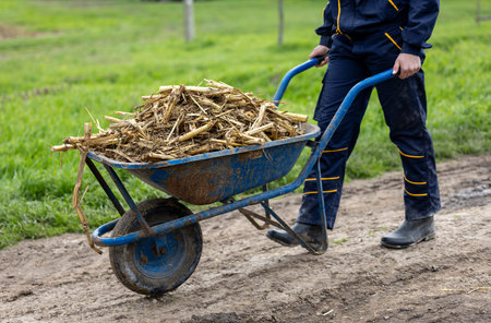 Farmer in work attire pushes wheelbarrow loaded with organic matter through grassy field on sunny...