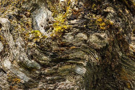 Close-up view of rugged stone surface covered in textured grooves and patches of green moss and...