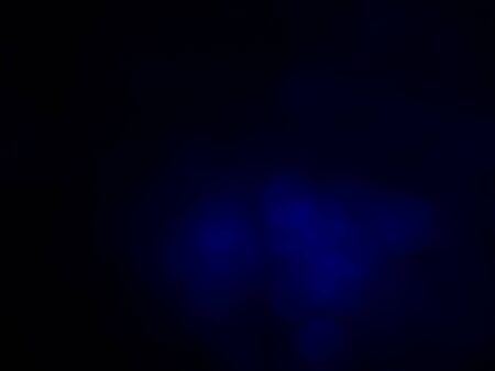 Backgroundの写真素材