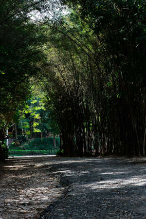 Way to natureの写真素材