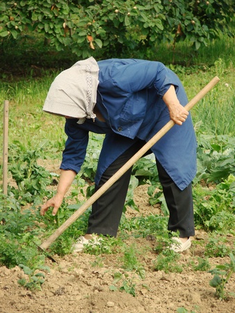                           agricultural work     の写真素材