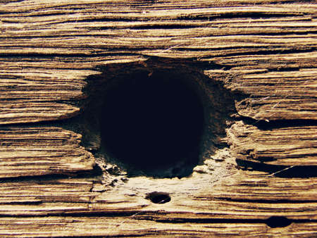 A detail of an 100 year old woden house 