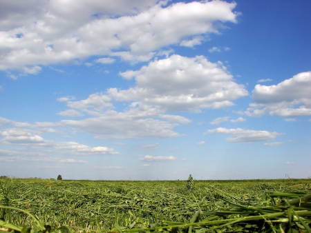landscapeの写真素材