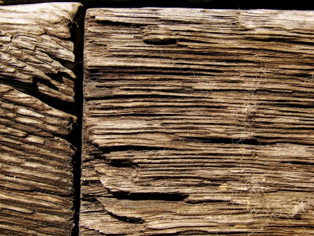 woodの写真素材