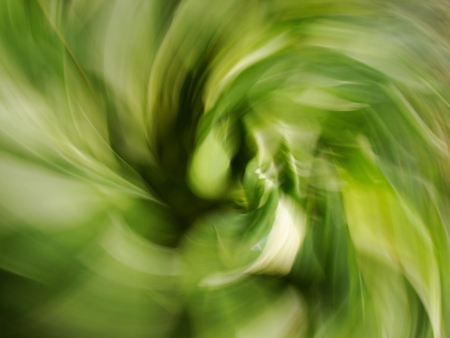abstractの写真素材
