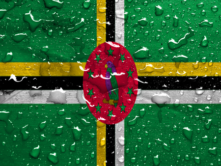 flag of Dominica with rain dropsの写真素材