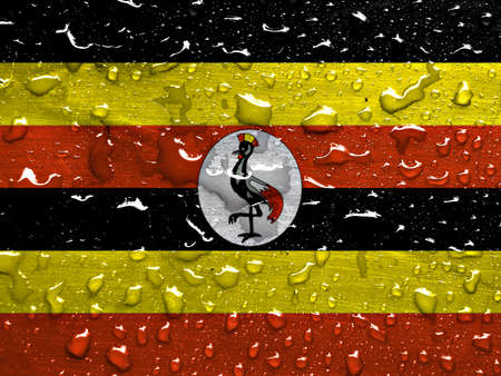flag of Uganda with rain dropsの写真素材