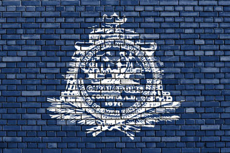 flag of Charleston painted on brick wallの写真素材