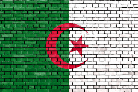 flag of Algeria painted on brick wallの写真素材