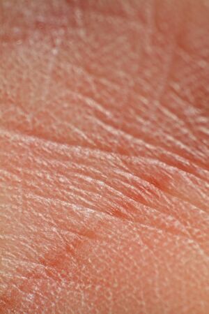 a human skin close up