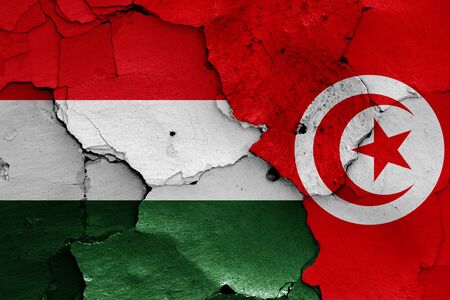 flags of Hungary and Tunisia painted on cracked wallの写真素材