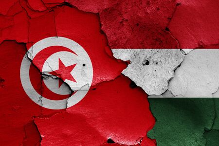 flags of Tunisia and Hungary painted on cracked wallの写真素材