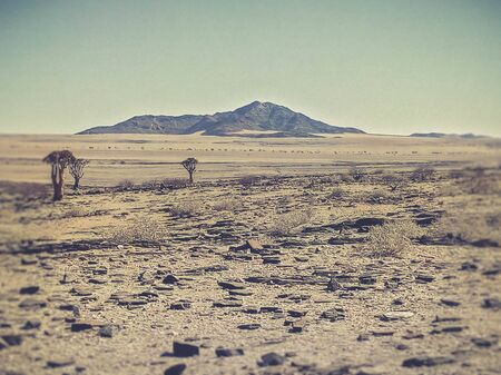 view of the dry land in Namibiaの写真素材