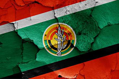 flag of Israeli Army painted on cracked wallの写真素材