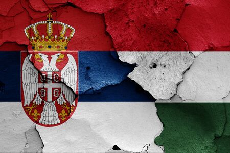 flags of Serbia and Hungary painted on cracked wallの写真素材
