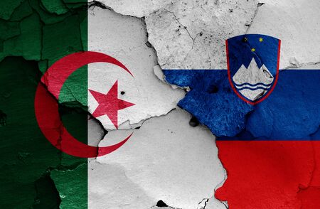 flags of Algeria and Slovenia painted on cracked wallの写真素材