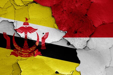 flags of Brunei and Indonesia painted on cracked wallの写真素材