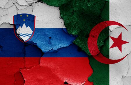 flags of Slovenia and Algeria painted on cracked wallの写真素材