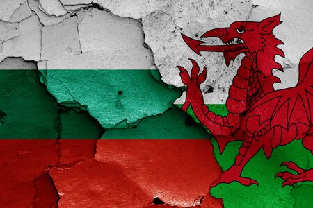 flags of Bulgaria and Wales painted on cracked wallの写真素材