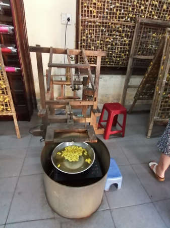 Da Nang, Vietnam - February 26, 2020: silkworm and cocoons from which through boiling and thread silk is producedのeditorial素材