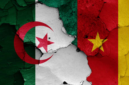 flags of Algeria and Cameroon painted on cracked wallの写真素材