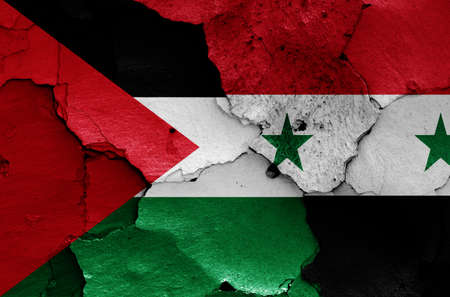 flags of Palestine and Syria painted on cracked wallの写真素材