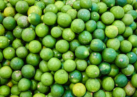 Closeup photo of lime pile on shelf. Texture background of fresh ingredient in gourmet market.の写真素材