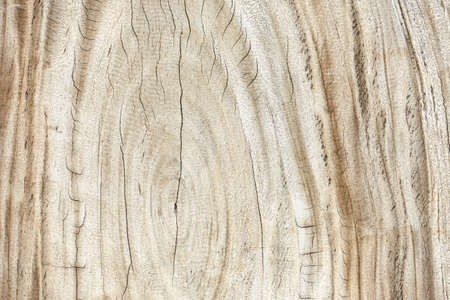 Wood texture background surface with old natural pattern