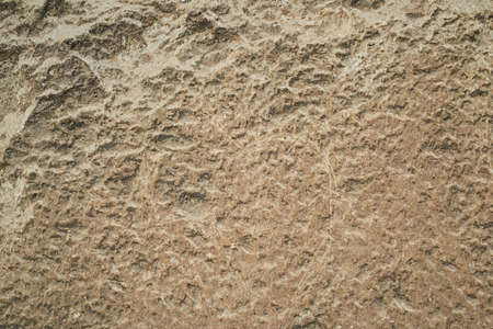 Natural texture sandstone, sun lighting, stone backgroundの写真素材