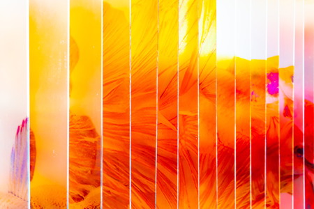 Abstracts colorful backgroundの写真素材