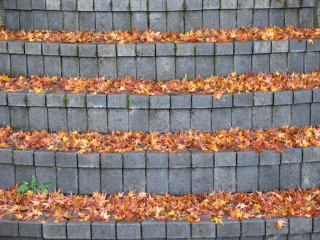 Leaves on a brick stairwayの写真素材