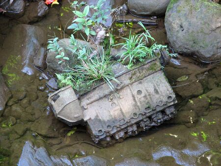 Green leaves and grasses growing out of an abandoned engine.の写真素材
