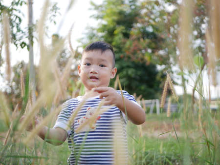 A cute little boy playing in the meadowの写真素材