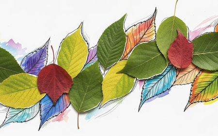 Colorful autumn leaves on white background. Hand-drawn illustration.の素材