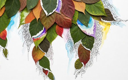 Colorful autumn leaves with watercolor splashes on a white backgroundの素材