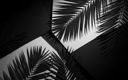 Tropical palm leaves on black and white background. 3d renderの素材