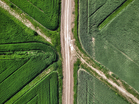 Aerial view of country road in green field. Drone photography.の素材