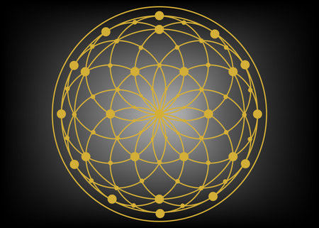 seed and flower of life gold line color vector for background logo iconのイラスト素材