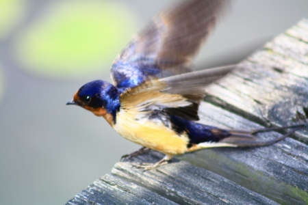 take offの写真素材