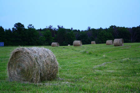 farm land